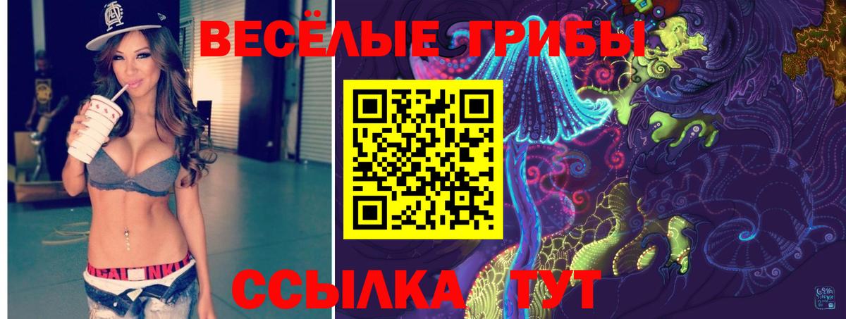 Липецк  Псилоцибиновые грибы мицелий  Вход с VPN 