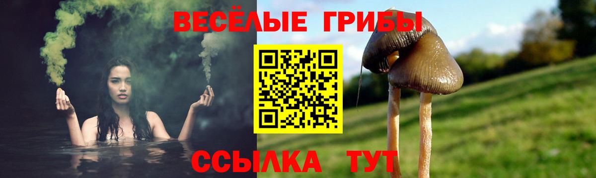 Псилоцибиновые грибы прущие грибы Липецк